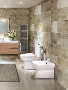 Tìm hiểu thiết bị vệ sinh ceravi